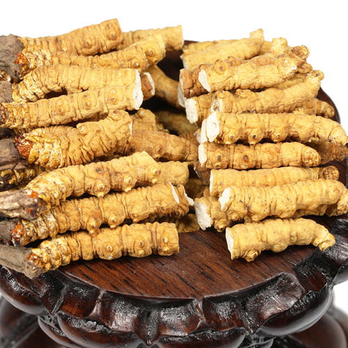 斗門(mén)蟲(chóng)草回收