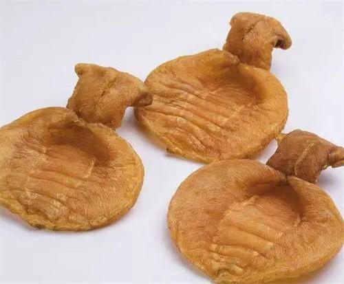 香洲魚(yú)膠回收