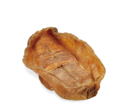 金灣魚(yú)膠回收