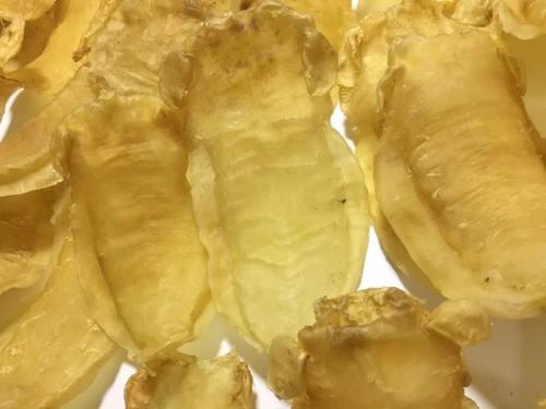 斗門(mén)魚(yú)膠回收