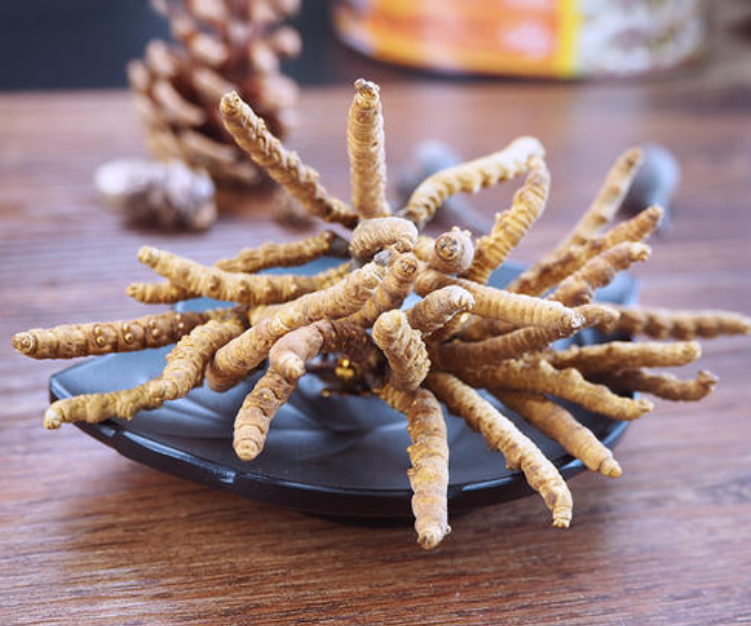 散裝冬蟲(chóng)夏草回收