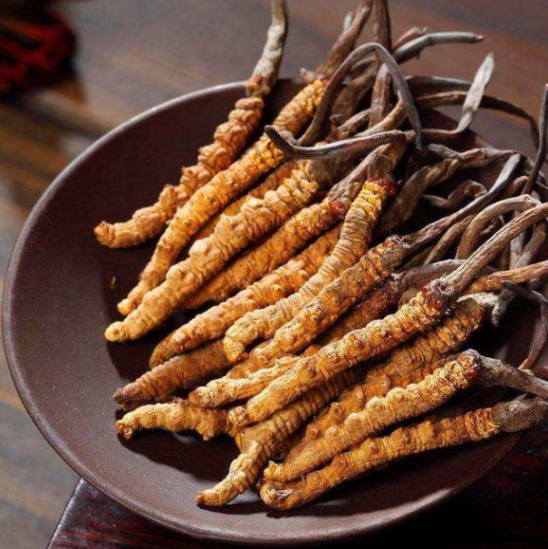 斷條冬蟲(chóng)夏草回收